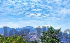 188足球比分网-揭秘188足球比分网，球迷的实时数据宝藏库